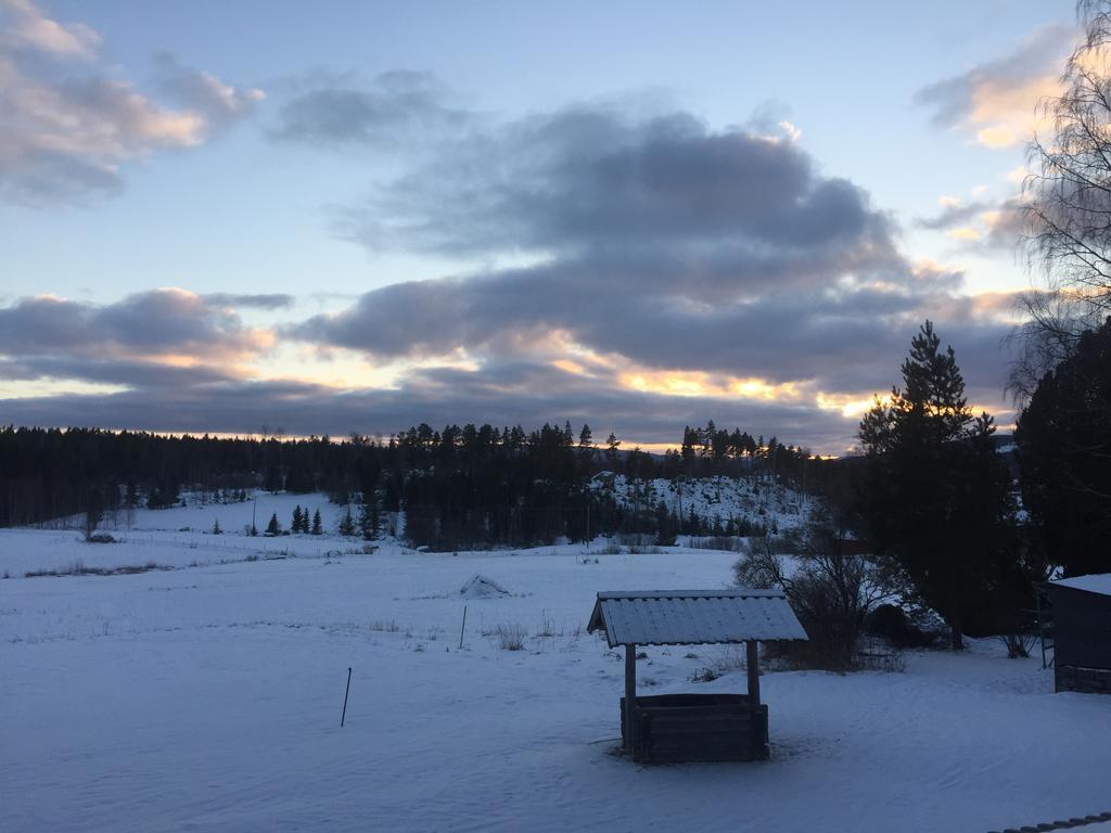 Helsingegarden Hostel Jarvso Bagian luar foto