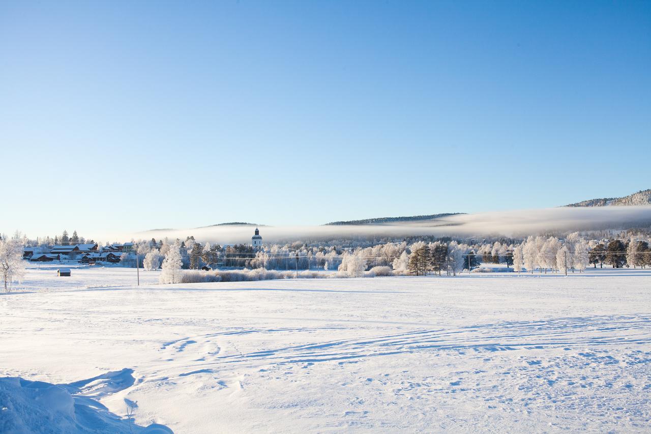 Helsingegarden Hostel Jarvso Bagian luar foto