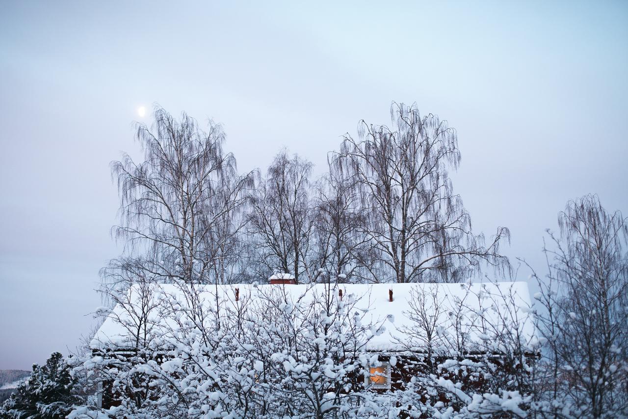 Helsingegarden Hostel Jarvso Bagian luar foto