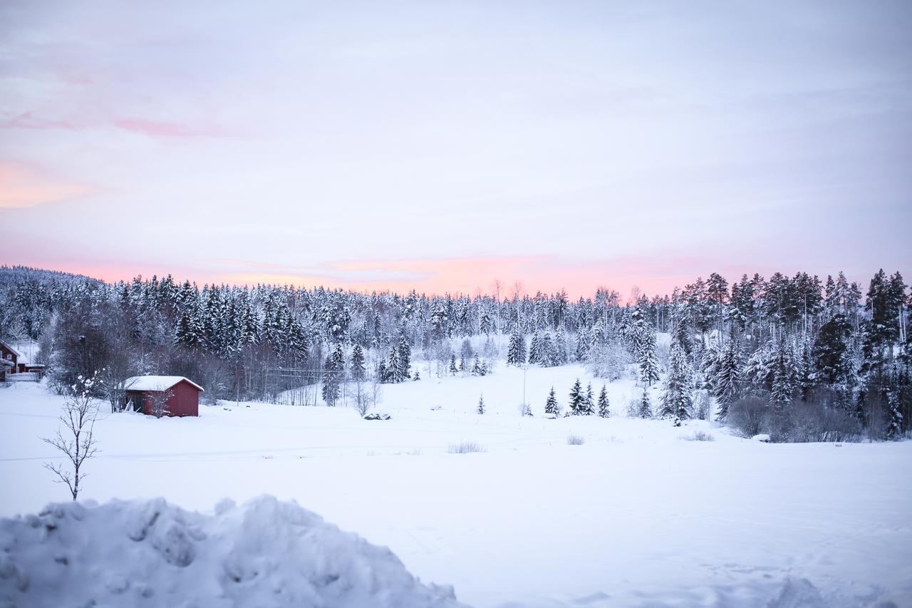 Helsingegarden Hostel Jarvso Bagian luar foto