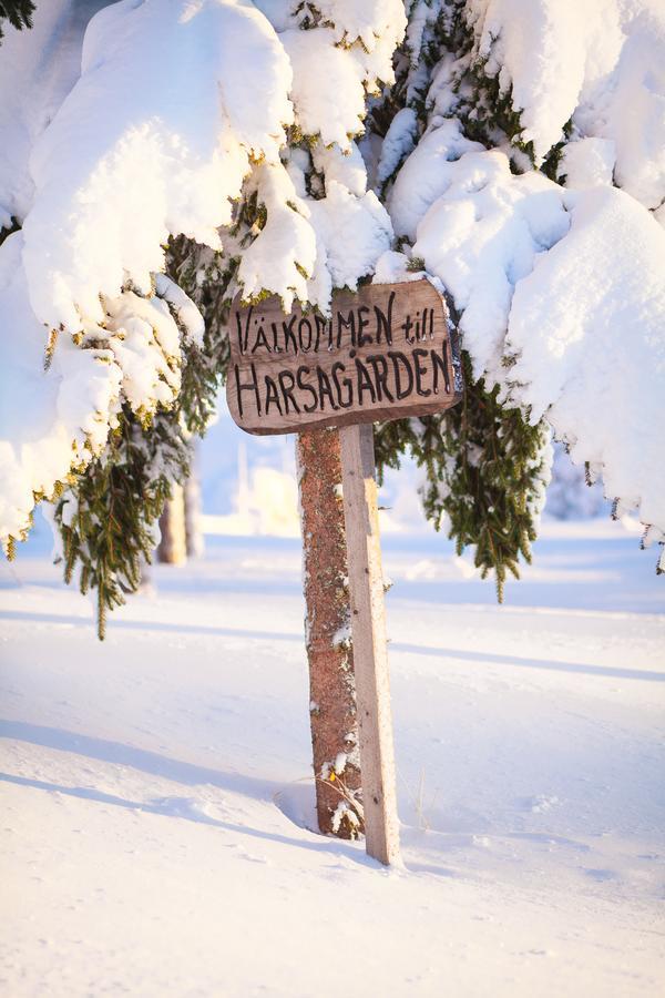 Helsingegarden Hostel Jarvso Bagian luar foto